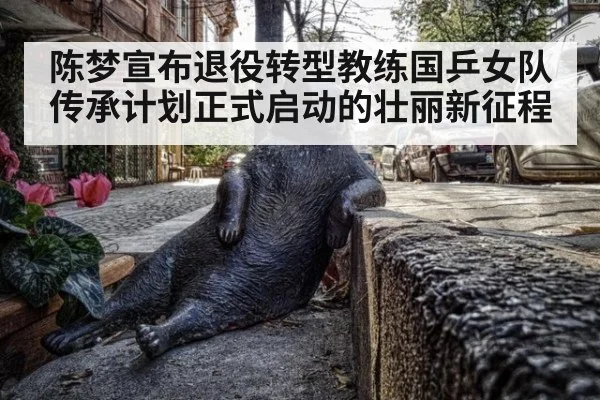 陈梦宣布退役转型教练国乒女队传承计划正式启动的壮丽新征程